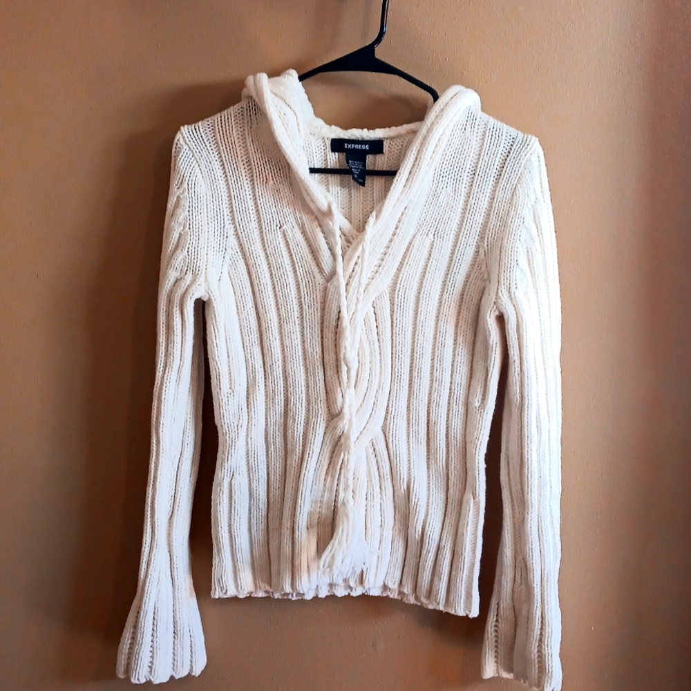 Express hooded sweater